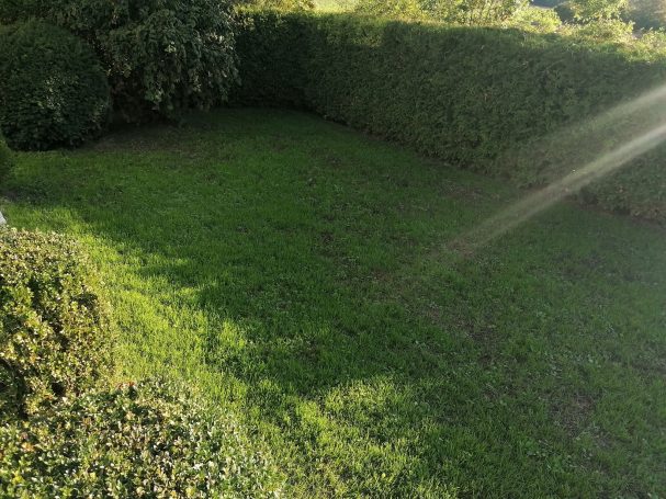 Grünflächen mit Rasen und geharkten Hecken, Sonnenstrahlen fallen darauf.
